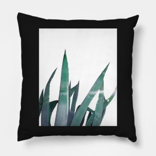 Agave plant Pillow