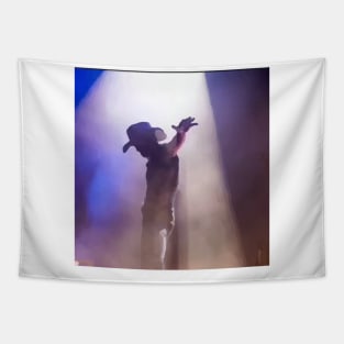 Tim Mcgraw Tapestry