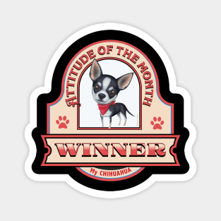 Chihuahua-Attitude of the Month Winner Magnet