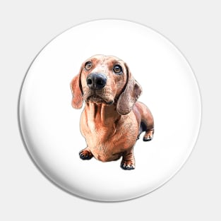 Dachshund Style Up Puppy Dog Pin