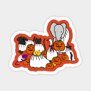 Animals in Halloween Horror Costumes Magnet
