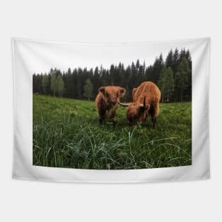 Scottish Highland Cattle Cow and Calf 2009 Tapestry