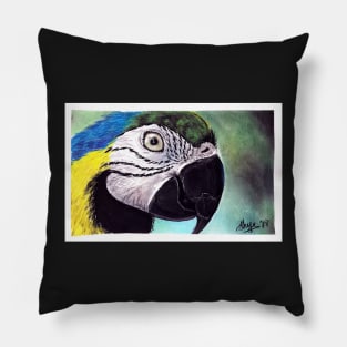 Macaw Pillow