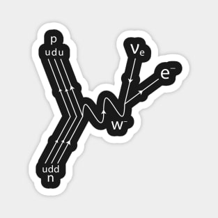 Feynman Diagram Magnet