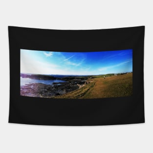 Wild Atlantic Way - Co. Clare Tapestry