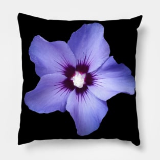 Garden hibiscus, hibiscus, blue, blossom Pillow