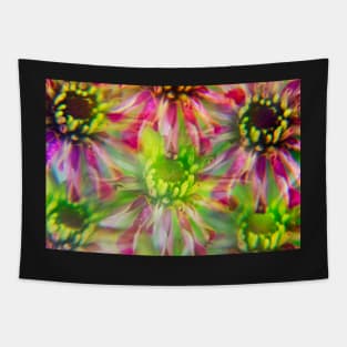 Colorful Zinnia Flowers Photographed Through A Prism Tapestry