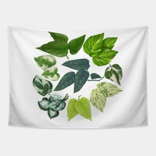 Pothos Leaves Art Tapestry