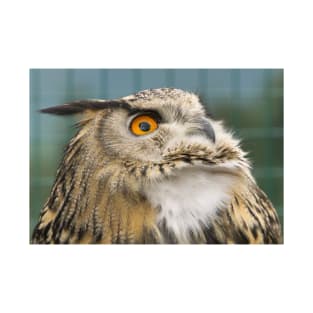 Eagle Owl Portrait T-Shirt