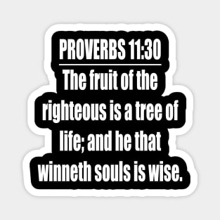 Proverbs 11:30 King James Version Bible Verse Magnet