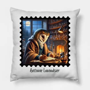 Antoine Lavowlsier II Pillow