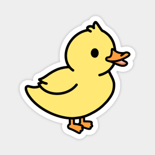 Duck Magnet