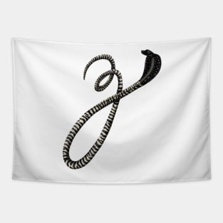 Z - Zebra spitting cobra Tapestry