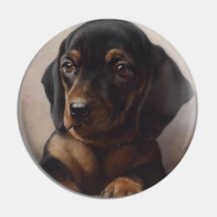 Young Dachshund by Carl Reichert Pin