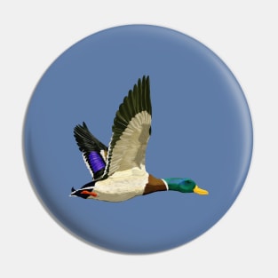 Mallard ducks Pin