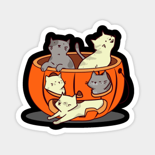 Cats in pumpkin Magnet