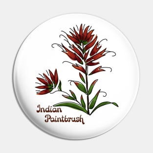 Indian Paintbrush Pin