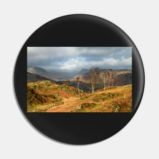 Silver Birches of Holme Fell Pin