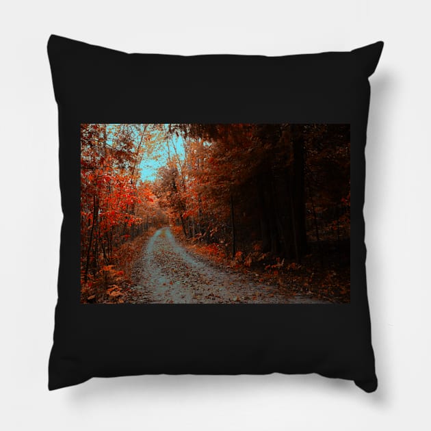 Follow Your Own Path Pillow by MidnightRose77