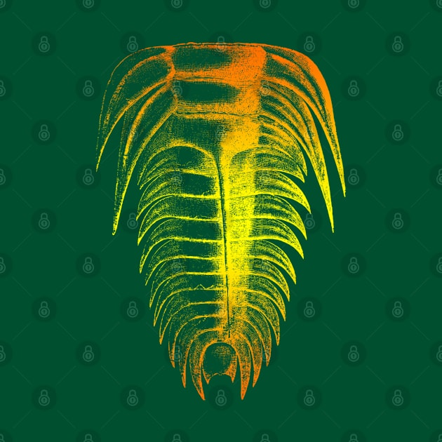 Trilobite Orange Yellow Color Splash Design by Terra Fossil Merch