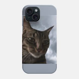 Cloudy with a Chance of Tabby Phone Case