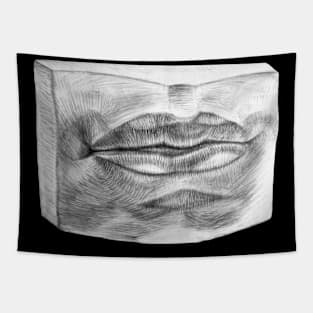 Lips Drawing Print Tapestry