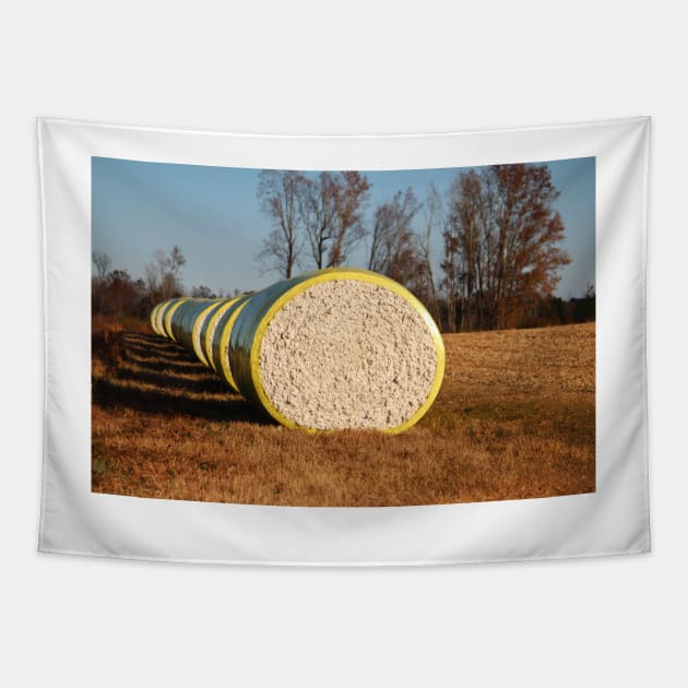 Round Bales Of Cotton Tapestry by Cynthia48