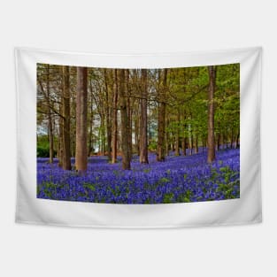 Bluebell Woods Greys Court Oxfordshire UK Tapestry