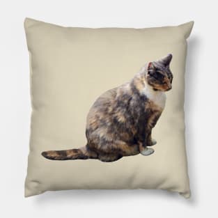 Tabby Cat in Shades of Brown Pillow