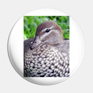 Australian Wood Duck Pin