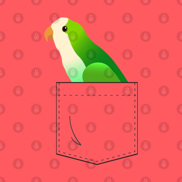 Quaker Parrot Monk Parakeet In Your Front Pocket by Einstein Parrot