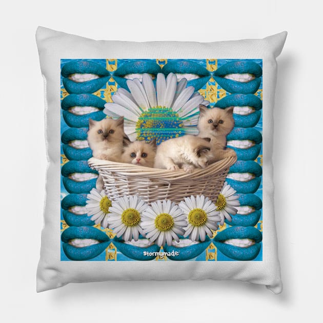 KITTEN BASKET Pillow by STORMYMADE