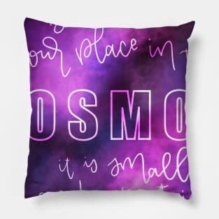 Cosmos Pillow