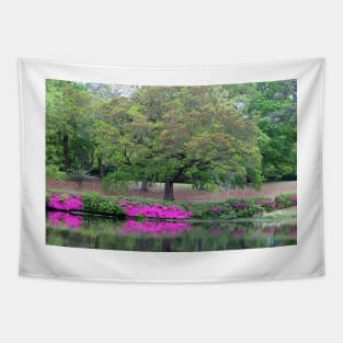 Natural Waterfront Tapestry