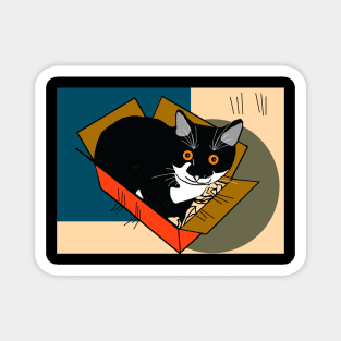 Cute Tuxedo Cat Kitty in a box  Copyright TeAnne Magnet