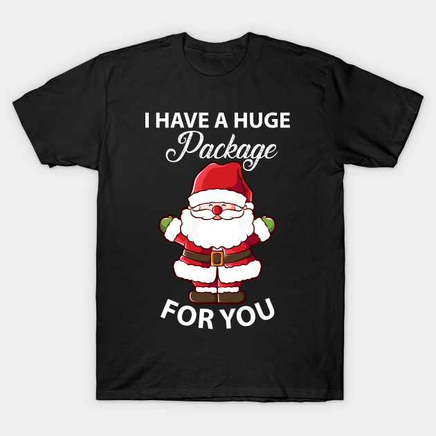 I Have A Huge Package For You Shirt Mens Womens Christmas Shirt Funny Funny Christmas Shirts Adult Humor Shirt Santa Christmas Funny Christmas T Shirt Teepublic