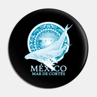 Humpback whales Mexico Sea of Cortez Pin