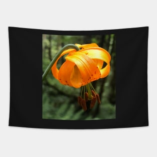 The Light Lantern of the Tiny Orange Forest Lily Tapestry