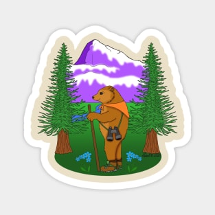 Denali Hiking Bear Magnet