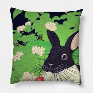 The Japanese American Sable Rabbit Stares Pillow