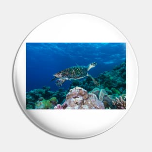 Hawksbill Sea Turtle on the Great Barrier Reef Pin