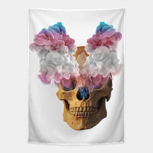 Subtle Trans Flag Halloween Skull Tapestry