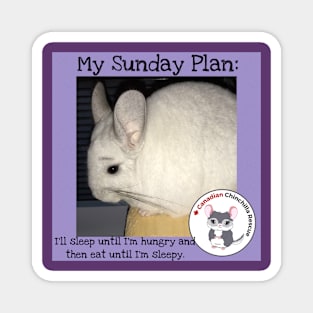 Chinchilla inspirational thoughts Magnet