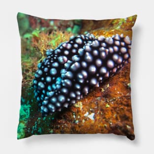 Nudibranch Pillow