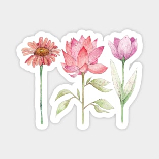 Pink flowers Magnet