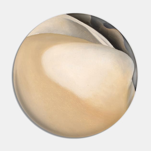 High Resolution Tan Clam Shell with Seaweed by Georgia O'Keeffe Pin by tiokvadrat