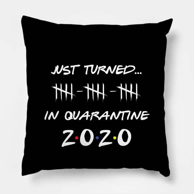 Just Turned 15 In Quarantine Humor Birthday Pillow by MarkdByWord