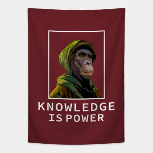 Philosopher's Monkey - Funny Tapestry