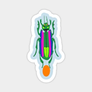 Jewel Scarab Beetle Design on Light Blue Background Magnet