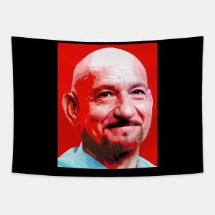 sir ben kingsley Tapestry